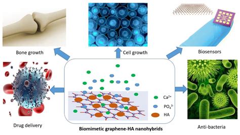  NanoHydroxyapatite: Un Materiale Rivoluzionario per le Applicazioni Biomediche!